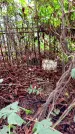 Захоронение ID 1282761