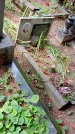 Захоронение ID 1282782
