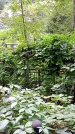 Захоронение ID 1282787