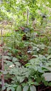 Захоронение ID 1282809