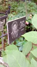 Захоронение ID 1282828