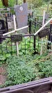 Захоронение ID 1282842