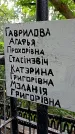 Захоронение ID 1282856