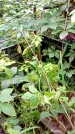 Захоронение ID 1282863
