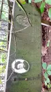 Захоронение ID 1282881