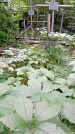 Захоронение ID 1282889