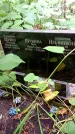 Захоронение ID 1282895