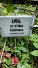 Захоронение ID 1282903