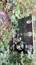 Захоронение ID 1282911