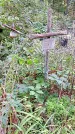 Захоронение ID 1282917