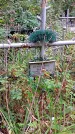 Захоронение ID 1282919