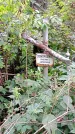 Захоронение ID 1282935