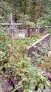 Захоронение ID 1282942