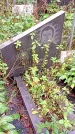 Захоронение ID 1282944