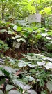 Захоронение ID 1282970