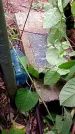 Захоронение ID 1282974