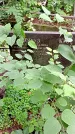 Захоронение ID 1282979