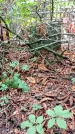 Захоронение ID 1283031