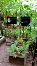 Захоронение ID 1283092