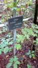 Захоронение ID 1283103