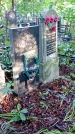Захоронение ID 1283111