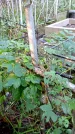 Захоронение ID 1283123