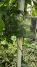 Захоронение ID 1283197