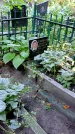Захоронение ID 1283235