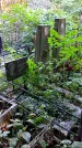 Захоронение ID 1283253