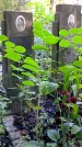 Захоронение ID 1283254
