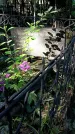 Захоронение ID 1283271
