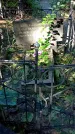 Захоронение ID 1283273
