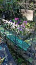 Захоронение ID 1283274