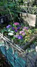 Захоронение ID 1283276