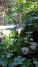 Захоронение ID 1283280