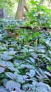 Захоронение ID 1283296