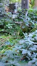 Захоронение ID 1283300