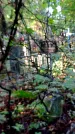 Захоронение ID 1283310