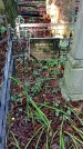 Захоронение ID 1283317