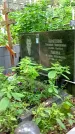 Захоронение ID 1283361
