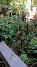Захоронение ID 1283362