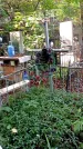 Захоронение ID 1283366