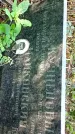 Захоронение ID 1283370