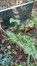 Захоронение ID 1283371