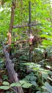 Захоронение ID 1283396