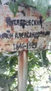 Захоронение ID 1283512