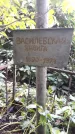 Захоронение ID 1283524