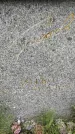 Захоронение ID 1283543