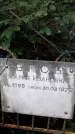 Захоронение ID 1283628