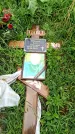 Захоронение ID 1283638